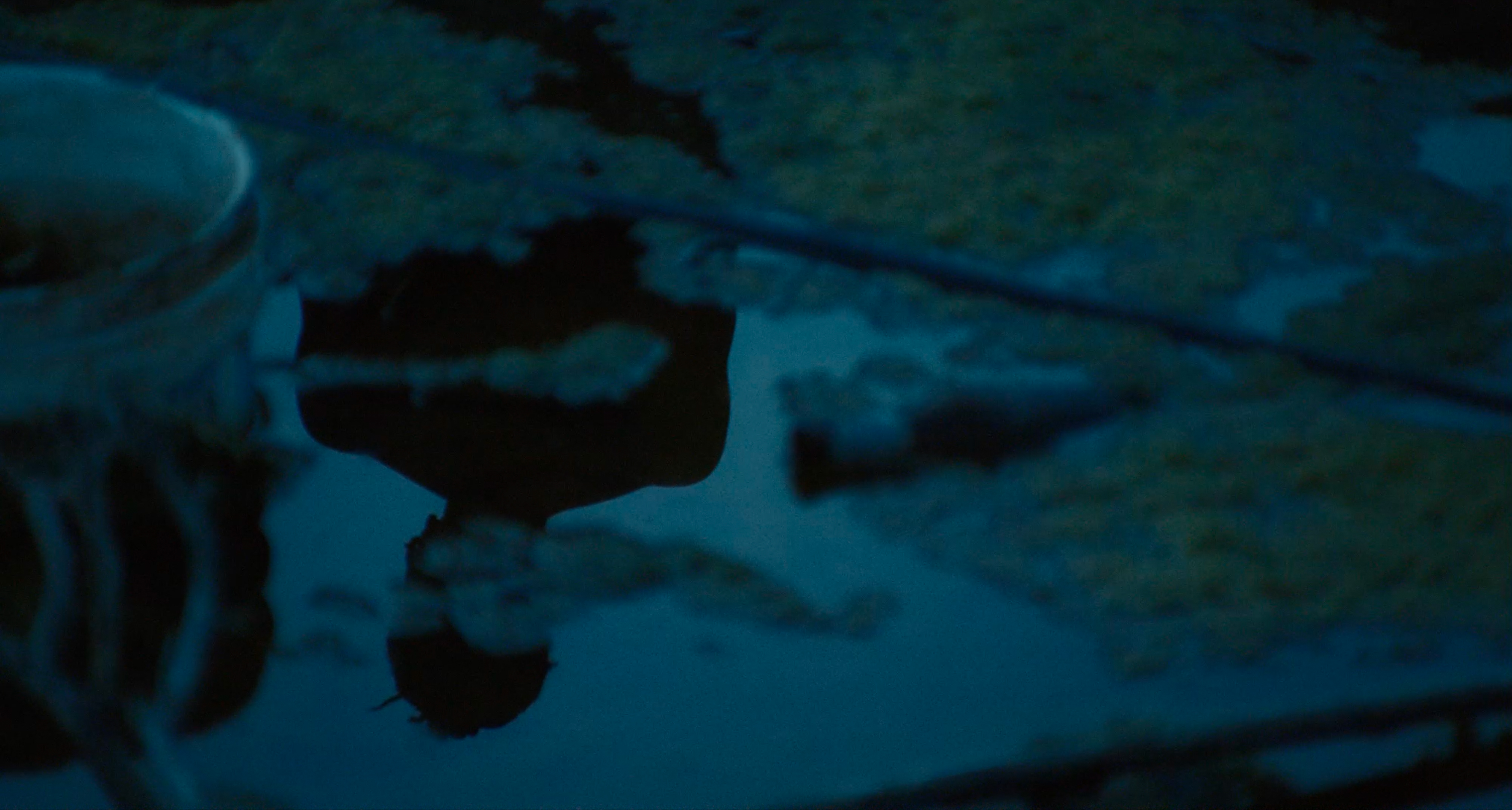 A blue silhouette reflected in water at dusk