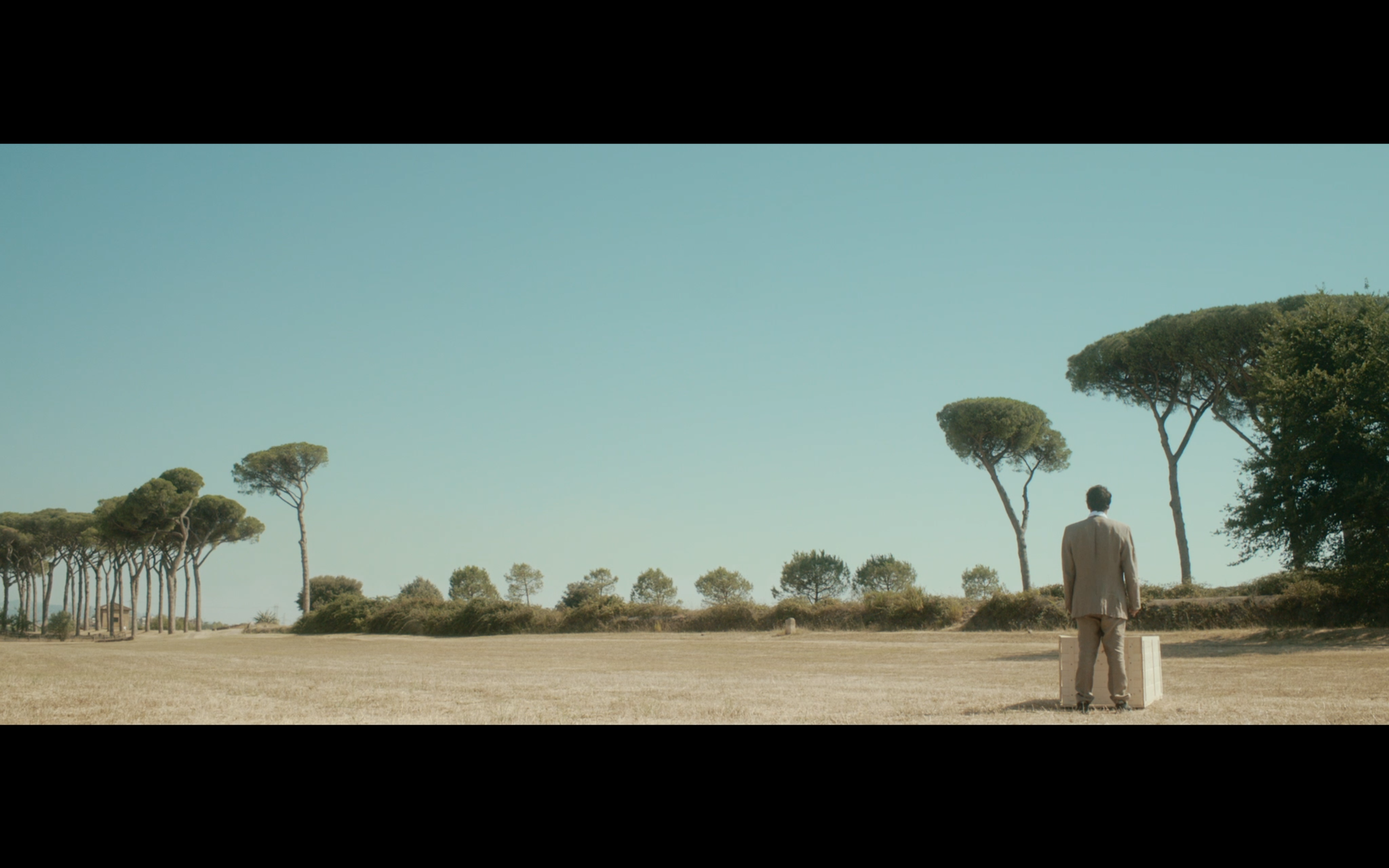 A man with a suitcase beneath umbrella pines in daylight