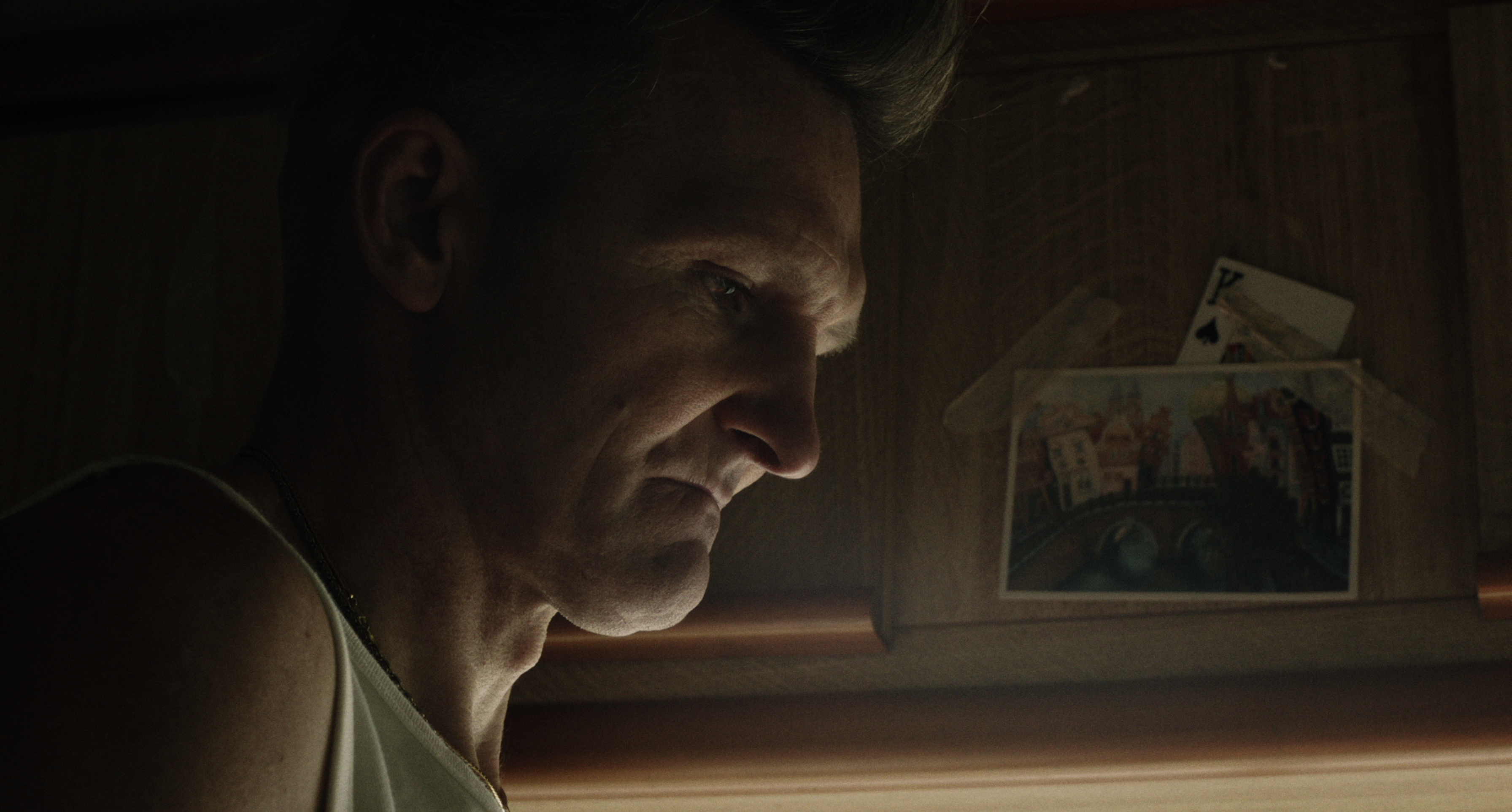 A portrait of a man in warm evening light